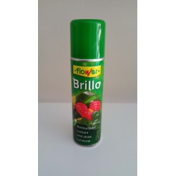 Brillo para plantas