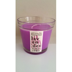Vela Perfumada en Vaso de Cristal con forma de Maceta (Lavanda)