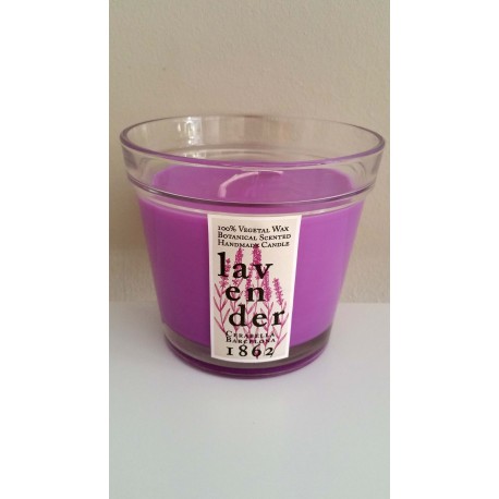 Vela Perfumada en Vaso de Cristal con forma de Maceta (Lavanda)