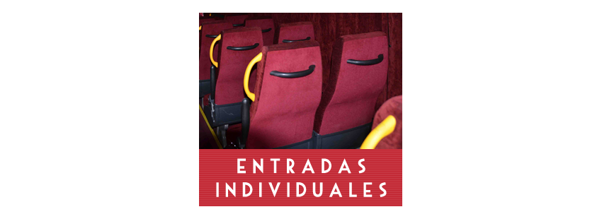 Entradas Individuales a un Show